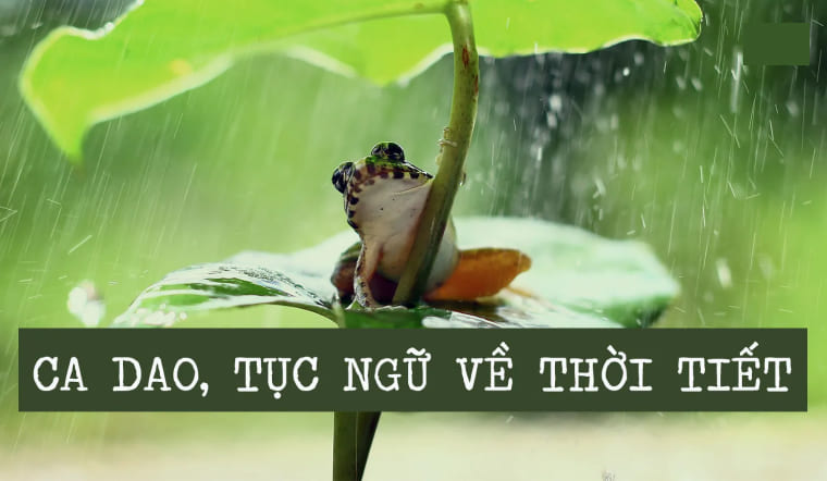 Ca dao tục ngữ dự báo thời tiết của ông bà ta có chính xác không?