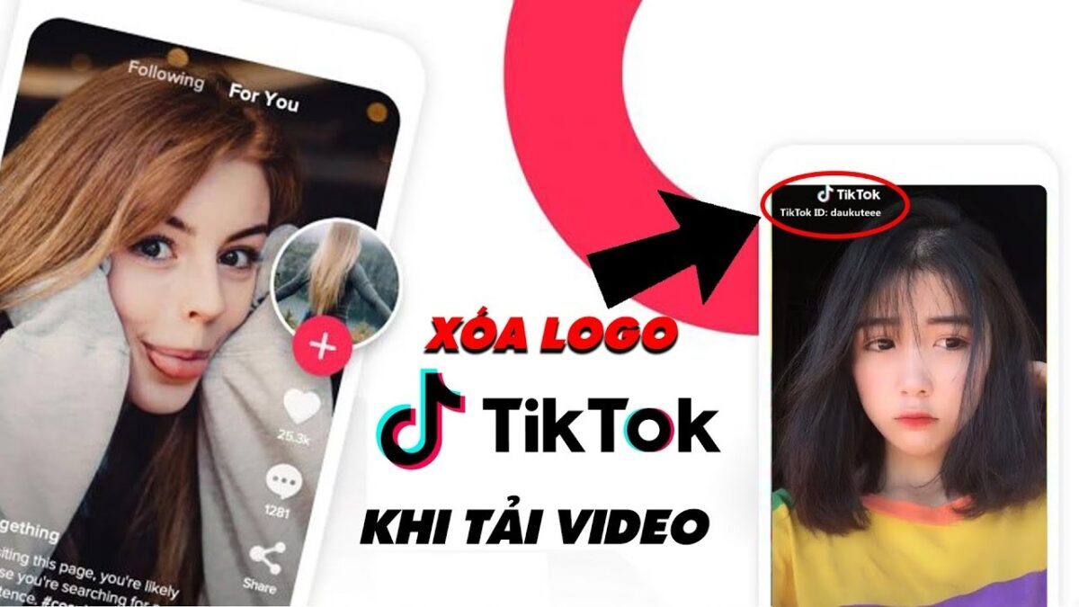 Cách tải video TikTok không logo trên điện thoại Android