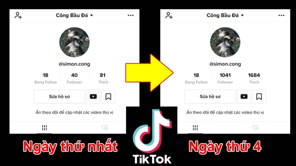 Cách tăng follower & lượt xem TikTok cho người mới