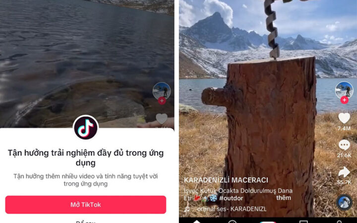 Cách Xem TikTok Không Cần Tài Khoản / Trên Trình Duyệt Web