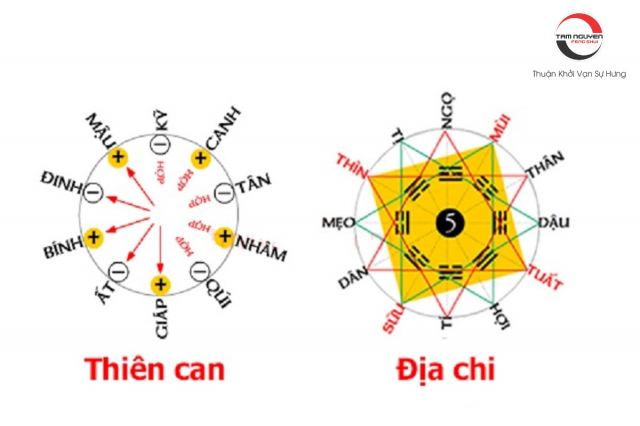 Can chi là gì? Cách tính thiên can địa chi của năm, tháng, ngày