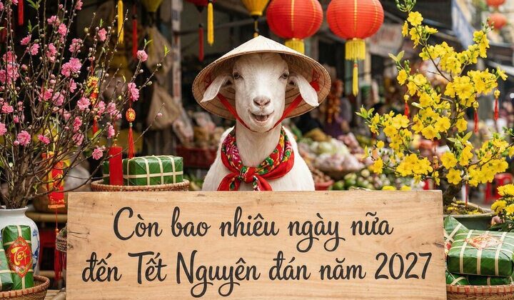 Còn bao nhiêu ngày nữa đến Tết Nguyên Đán 2027?