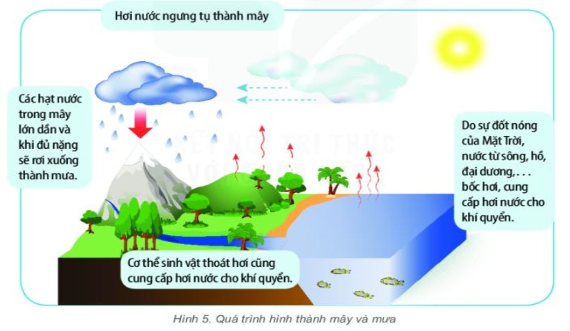Mùa mưa bão ở Việt Nam kéo dài từ tháng mấy đến tháng mấy?