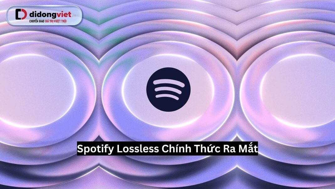 Spotify HiFi / Lossless khi nào có mặt tại Việt Nam?