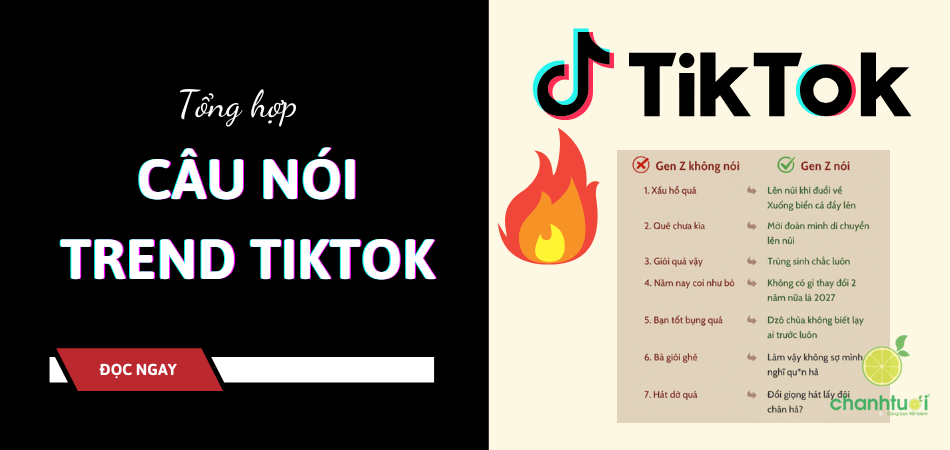 Từ lóng & câu nói trend TikTok của Gen Z: giải nghĩa A-Z